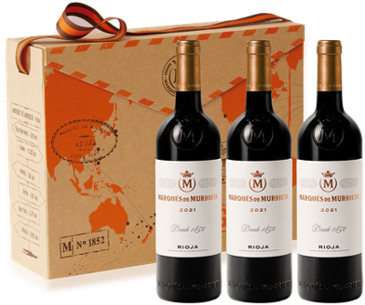 Estuche especial viajero 3 botellas 0,75L