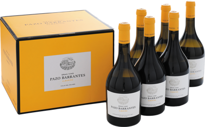 Caja cartón 6 botellas 0,75L